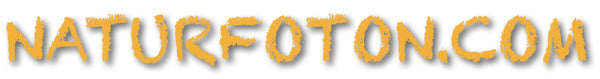 Naturfoton